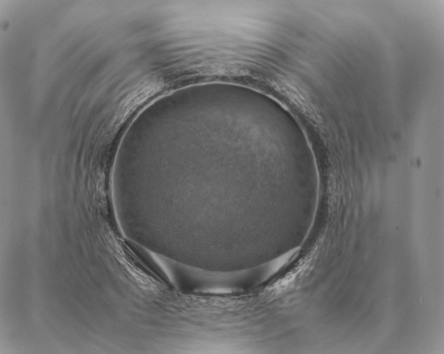 X0000086940881200704231355