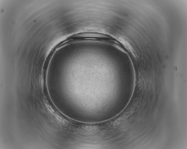 X0000086940888200704231355