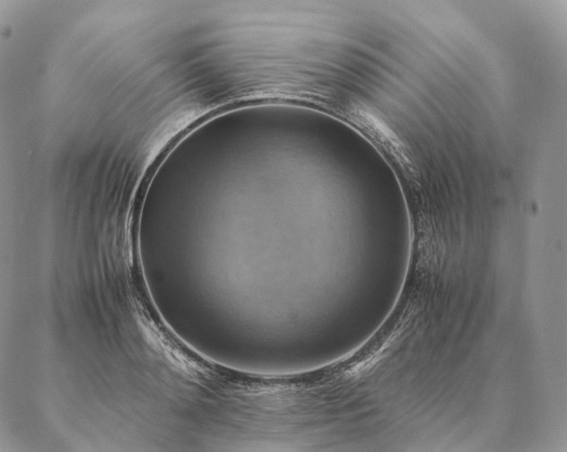 X0000086940892200704231355