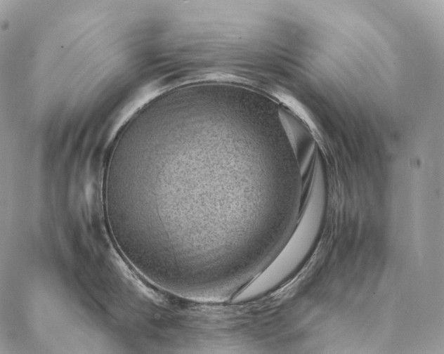X0000086940910200704231354