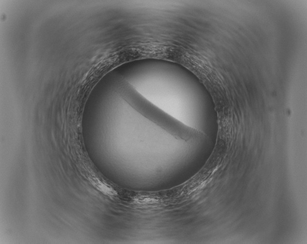 X0000086940913200704231353