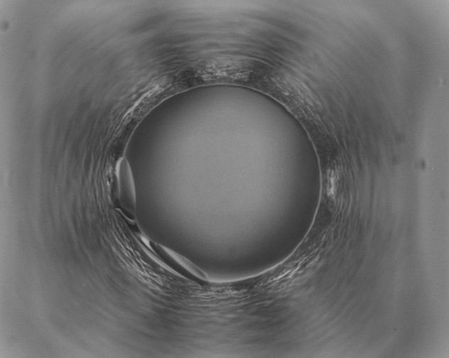 X0000086940915200704231353