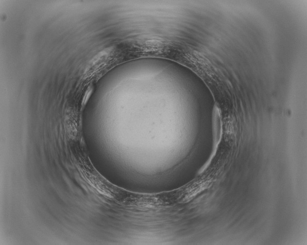 X0000086940916200704231353