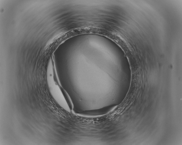 X0000086940919200704231354
