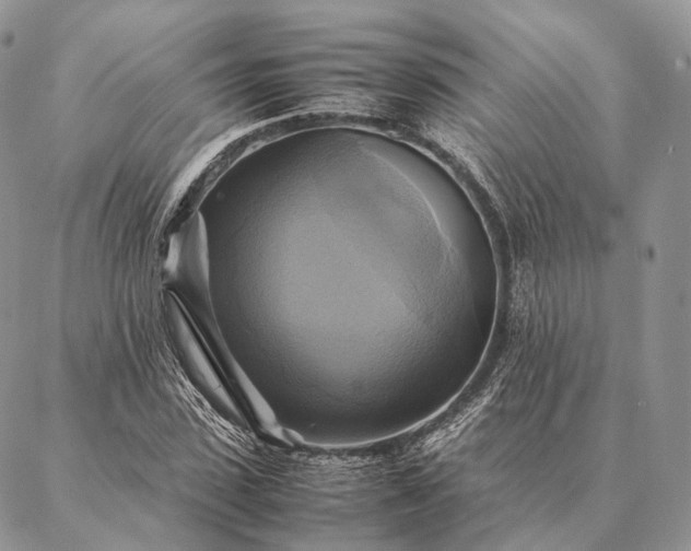 X0000086940923200704231354