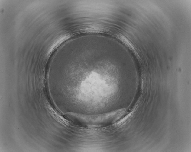 X0000086940930200704231354