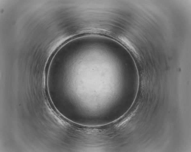 X0000086940940200704231354