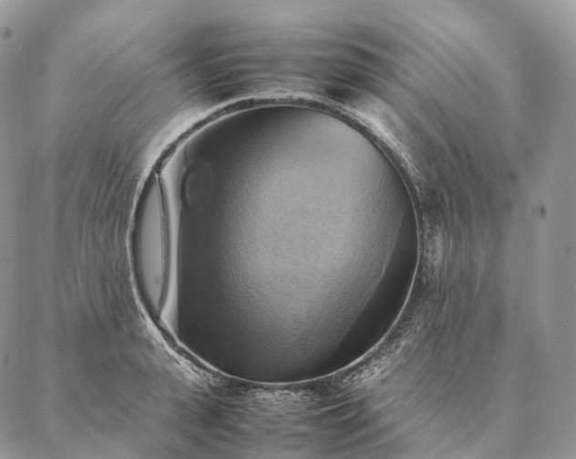 X0000086940943200704231354