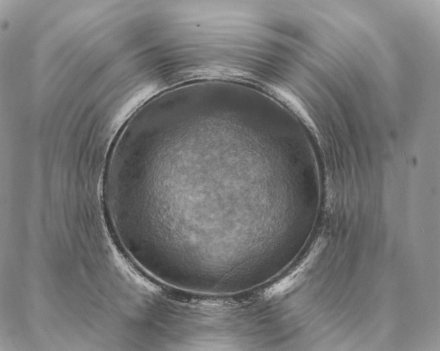 X0000086940946200704231354
