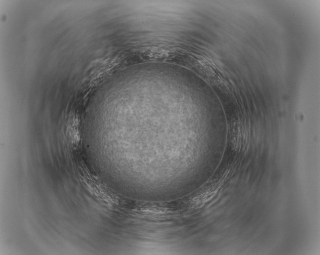 X0000086940962200704231353