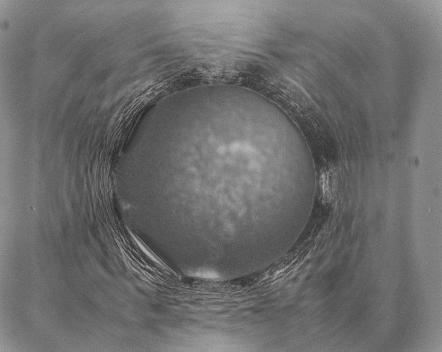 X0000086940963200704231353