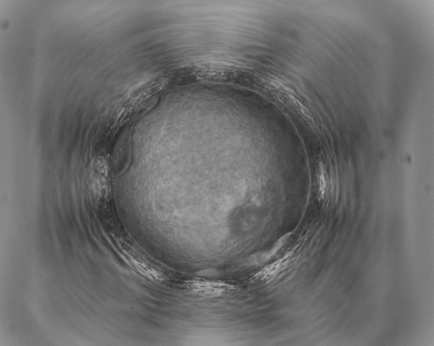 X0000086940964200704231353