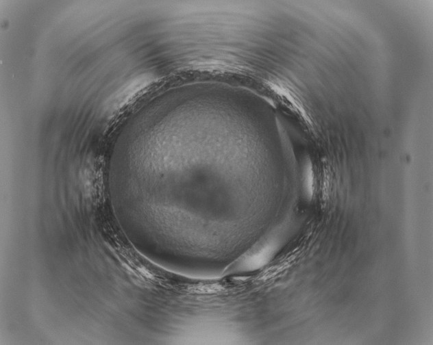 X0000086940968200704231353
