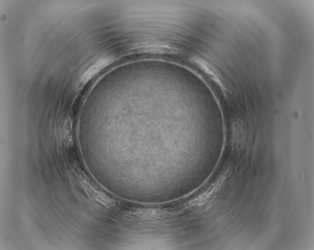 X0000086940970200704231353