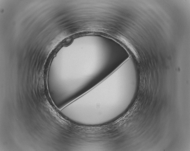 X0000086940972200704231353