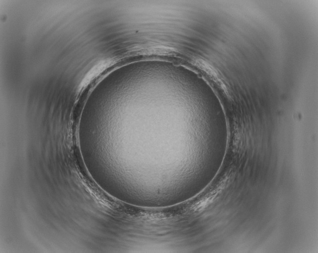 X0000086940978200704231353