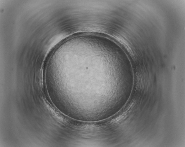 X0000086940982200704231353
