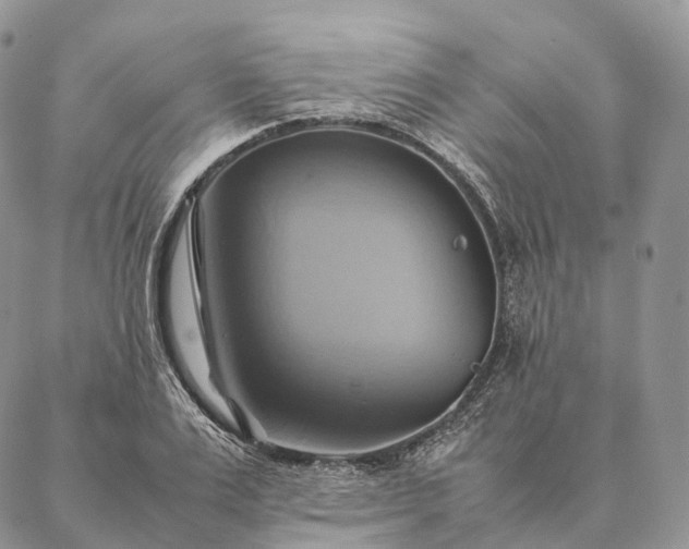 X0000086940983200704231353