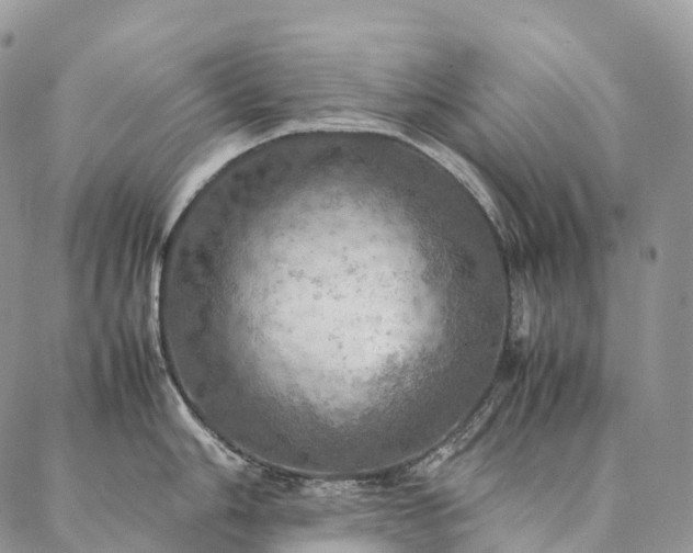 X0000086941006200704231353