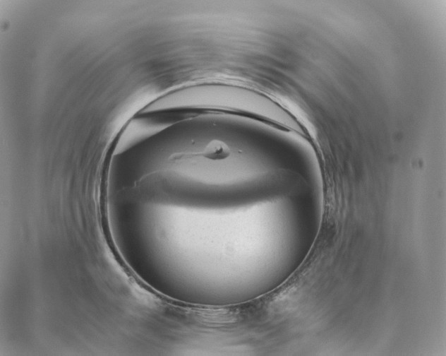 X0000086941007200704231353