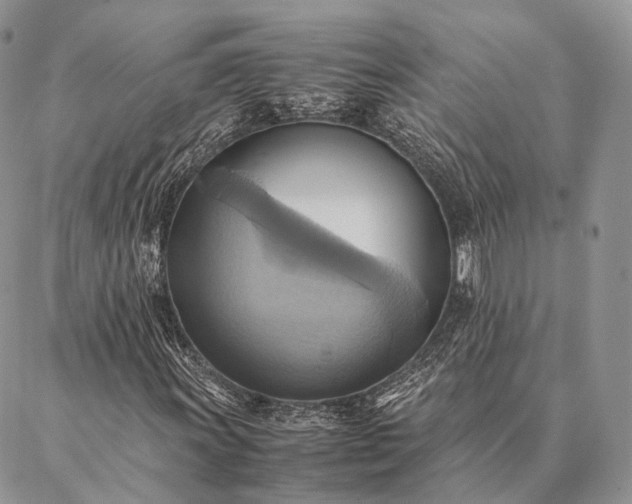 X0000086941011200704231352