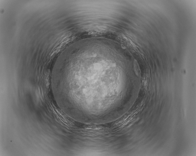 X0000086941012200704231352