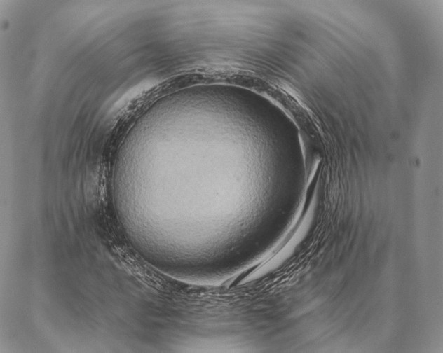X0000086941016200704231352