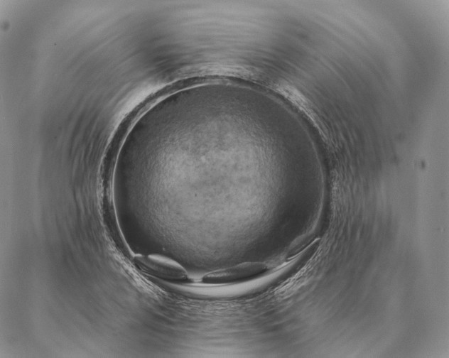 X0000086941024200704231352