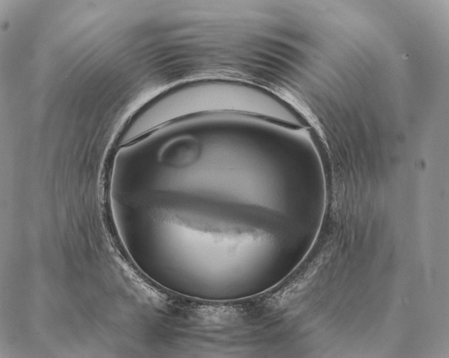 X0000086941037200704231352