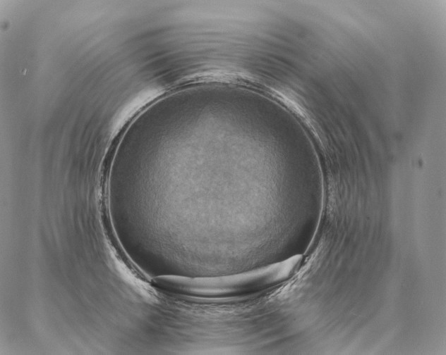 X0000086941042200704231352