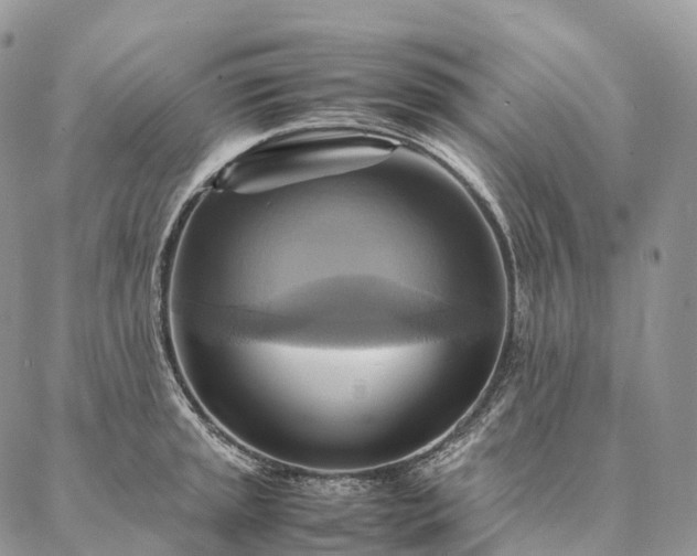 X0000086941045200704231352