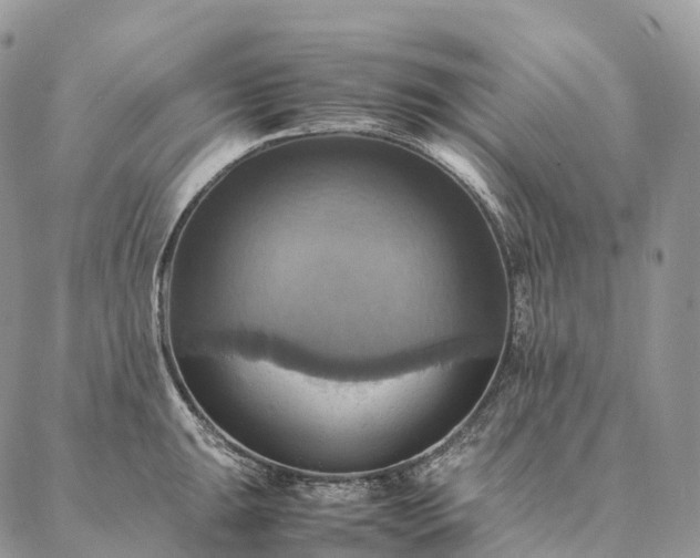 X0000086941047200704231352