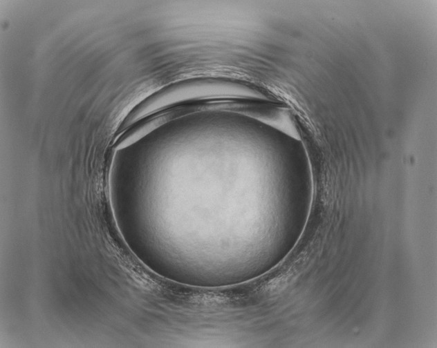 X0000086941073200704231352