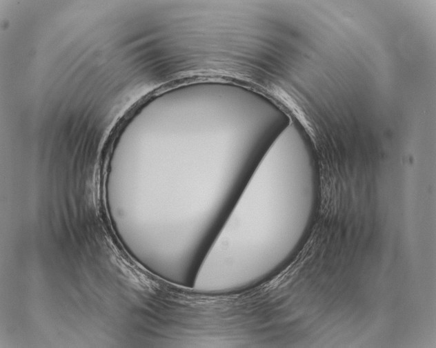 X0000086941076200704231352
