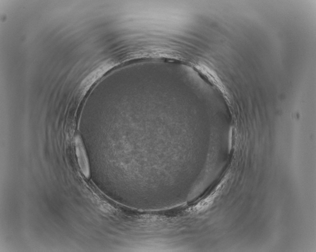X0000086941081200704231351
