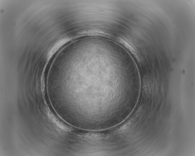 X0000086941082200704231351