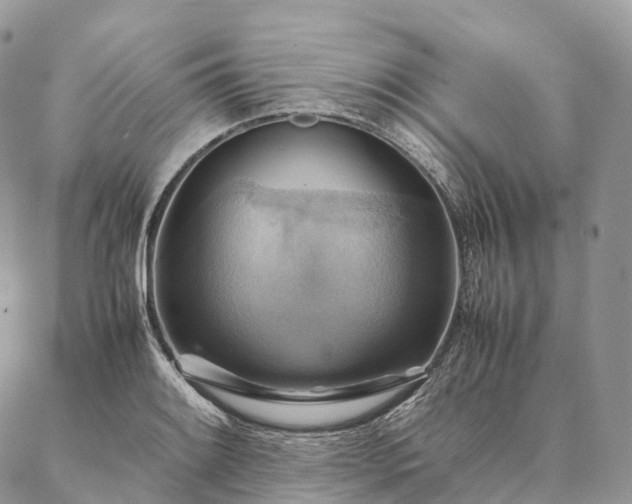 X0000086941084200704231351