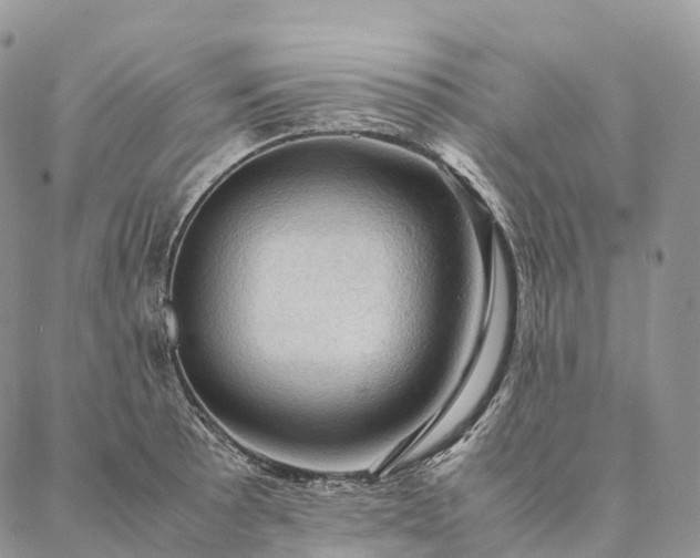 X0000086941089200704231351