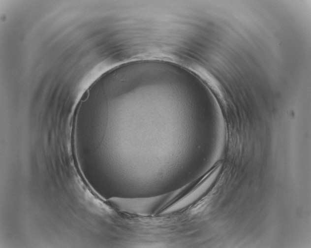 X0000086941102200704231351