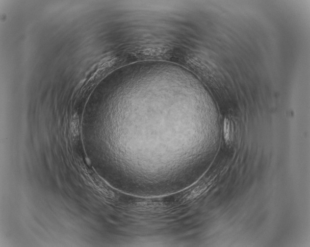 X0000086941107200704231350
