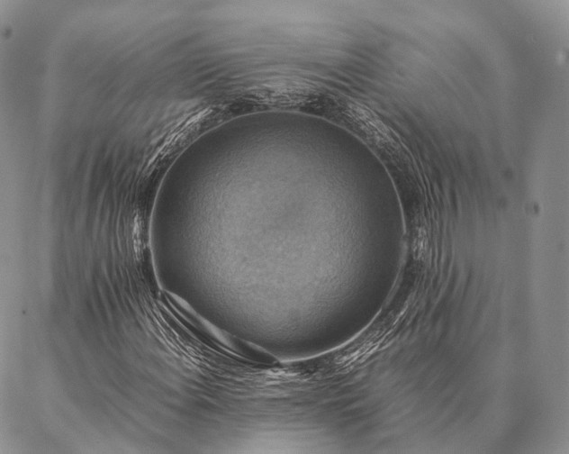 X0000086941108200704231350