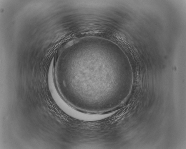 X0000086941109200704231350