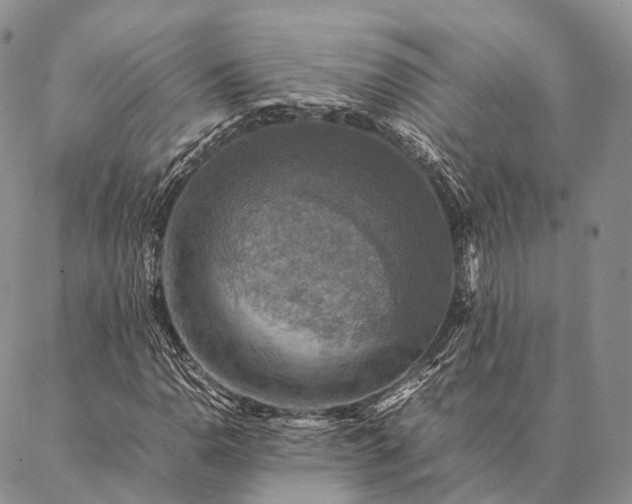 X0000086941110200704231350