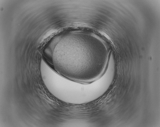 X0000086941112200704231350