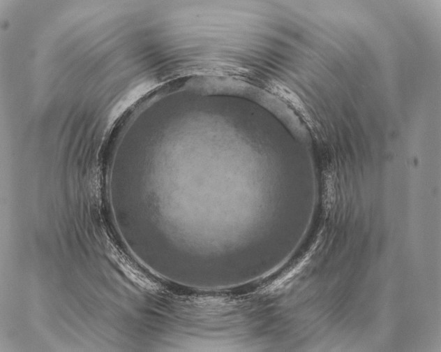 X0000086941114200704231350