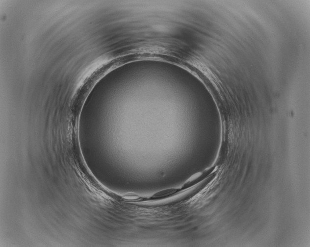 X0000086941115200704231350
