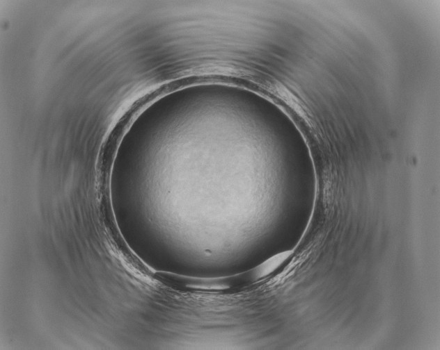 X0000086941116200704231350