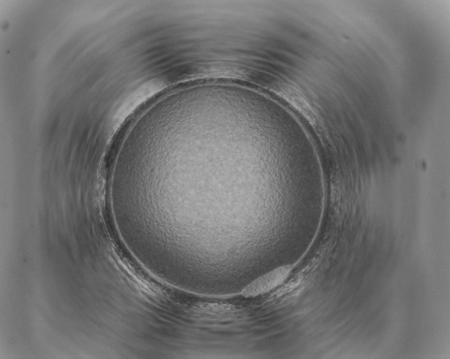 X0000086941119200704231351
