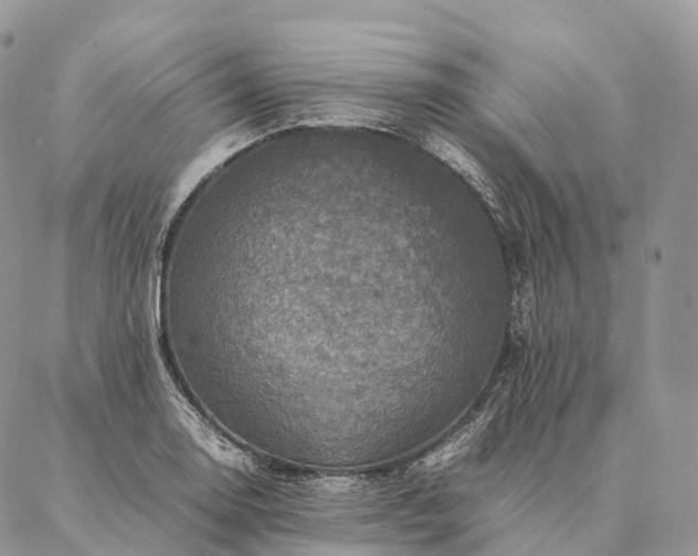 X0000086941130200704231351