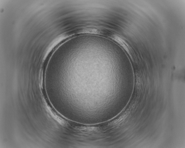 X0000086941131200704231351